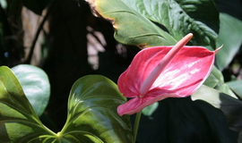 Küba Tarihi Bölgeler ve Mekanlar